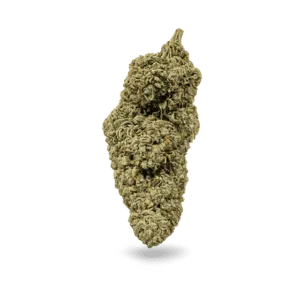 Cali Aromabl&uuml;te